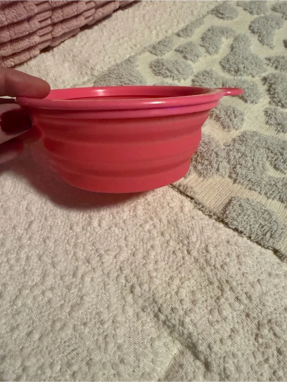 Collapsible Silicone Pet Bowl - Bright Pink